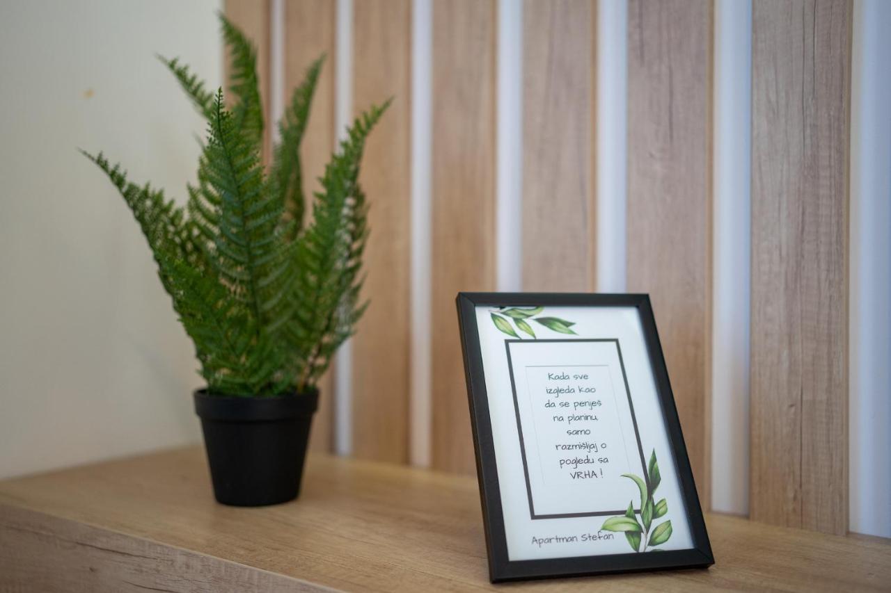 Apartment Stefan In Vila Katalina Lux Ζλάτιμπορ Εξωτερικό φωτογραφία